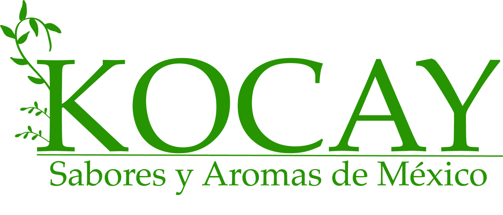 Logo Kocay